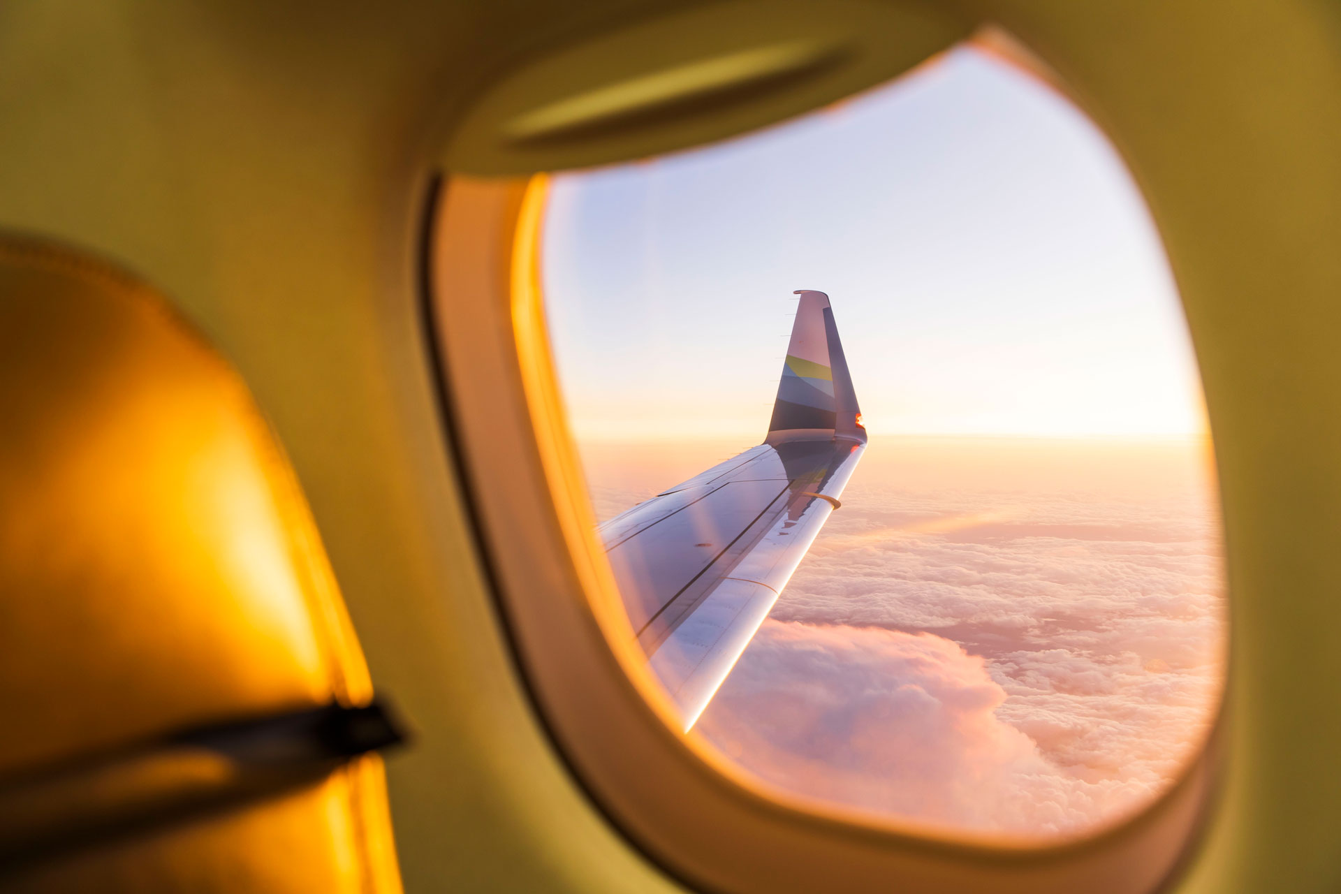 Airplane wing through the cabin window