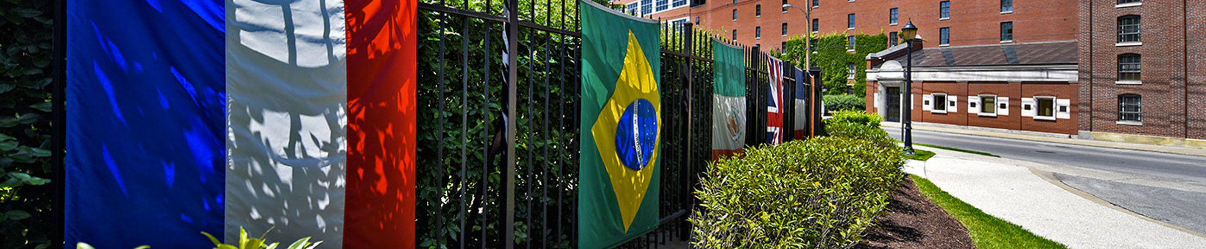 BrownForman Diversity Jobs