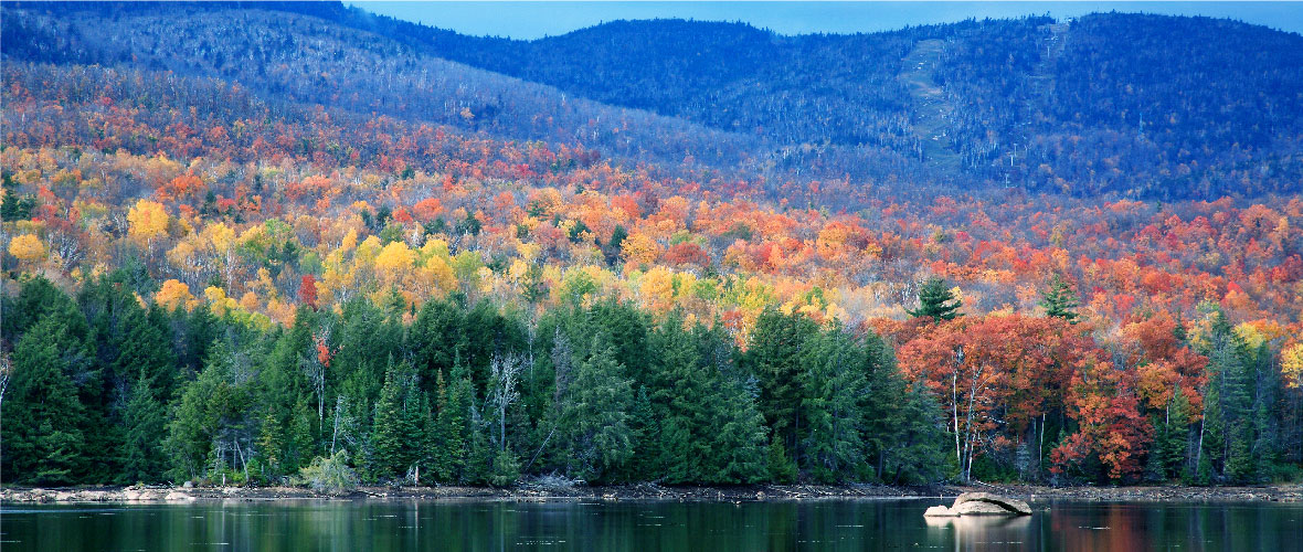 New York landscape