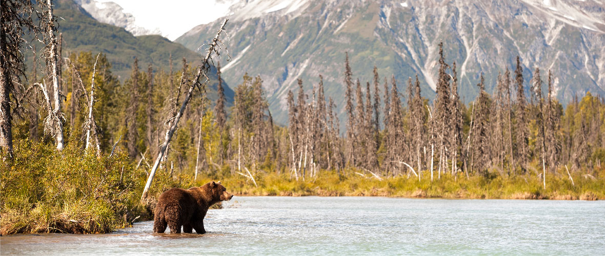 Alaska landscape